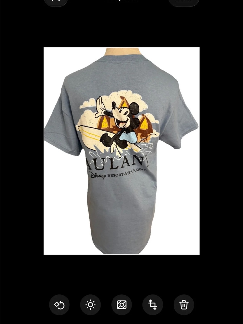 Disney Aulani Resort & Spa Hawaii Blue T-shirt medium Blue Aloha From Aulani,